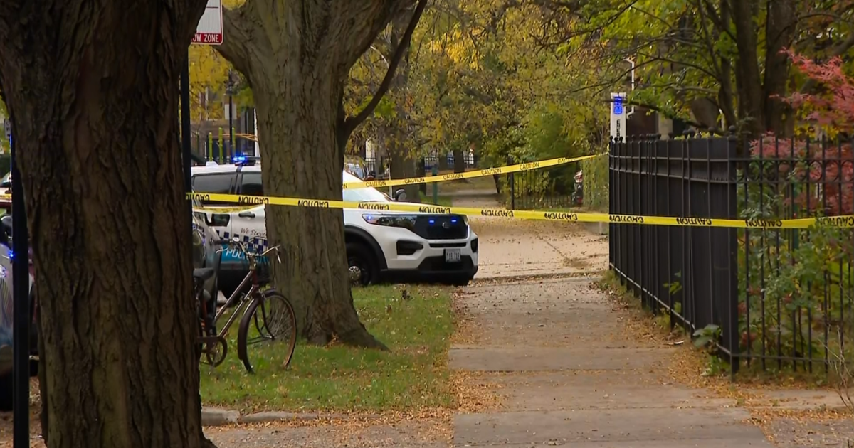 University Of Chicago Graduate Shot And Killed During Robbery Attempt