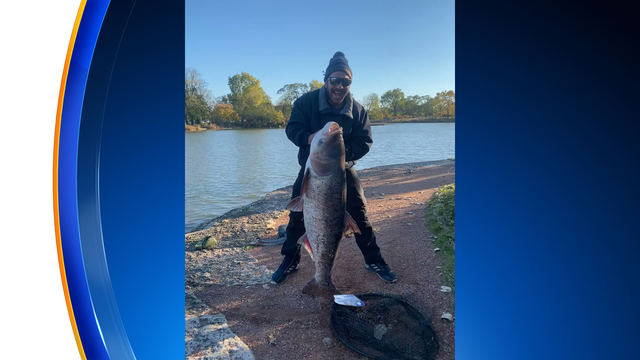 Jarrett-Knize-Carp.png 