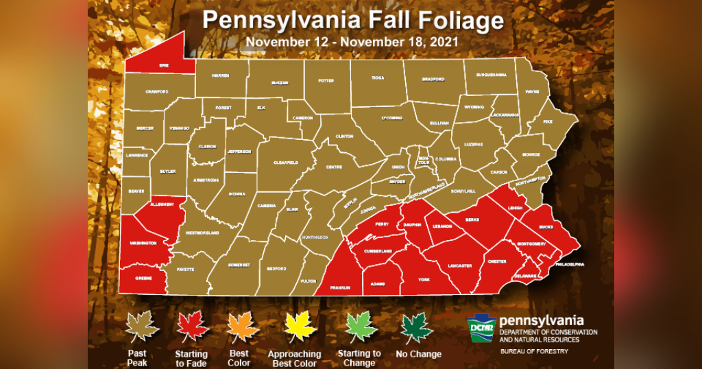 Fall Foliage Report Season Winding Down But Some Color Still Hanging fall-foliage-report-season-winding-down-but-some-color-still-hanging