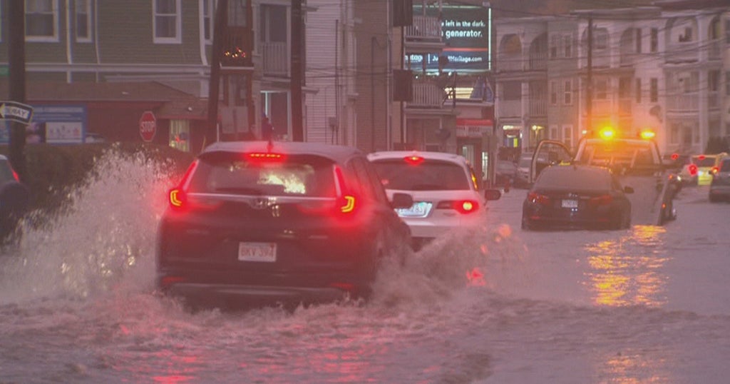 PHOTOS: Storm Damage In Massachusetts On November 12, 2021 - CBS Boston