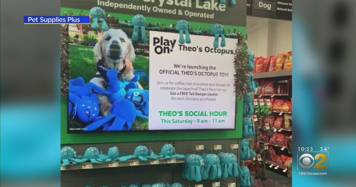 Toy Renamed 'Theo's Octopus' In Honor Of WellLoved Dog CBS Chicago