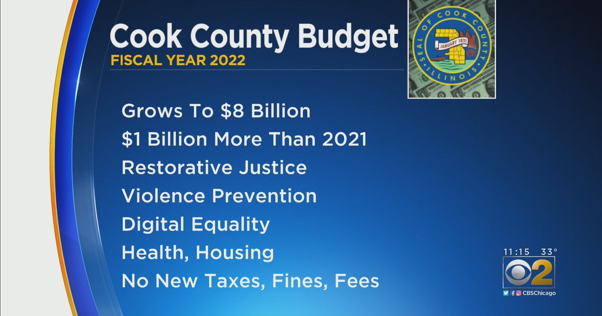 Cook County Board To Vote On Board President Toni Preckwinkle's 2022 ...