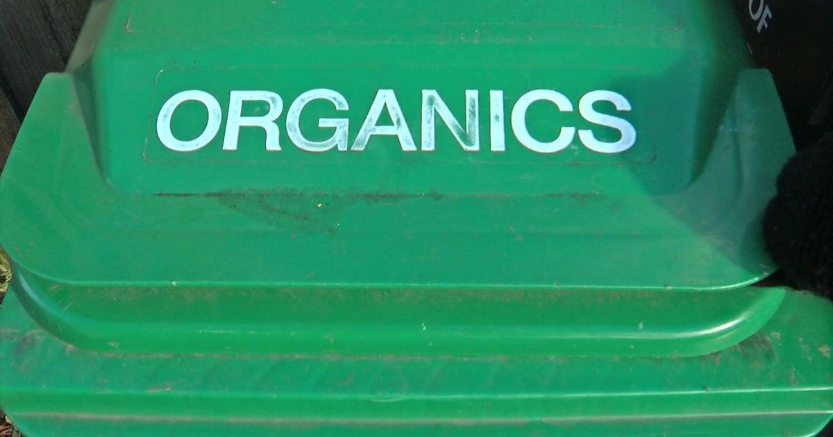 How Does Food Waste Get Composted? CBS Minnesota