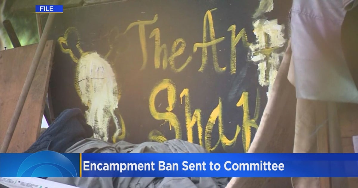 LA City Council Votes To Send Homeless Encampment Ban To Committee ...