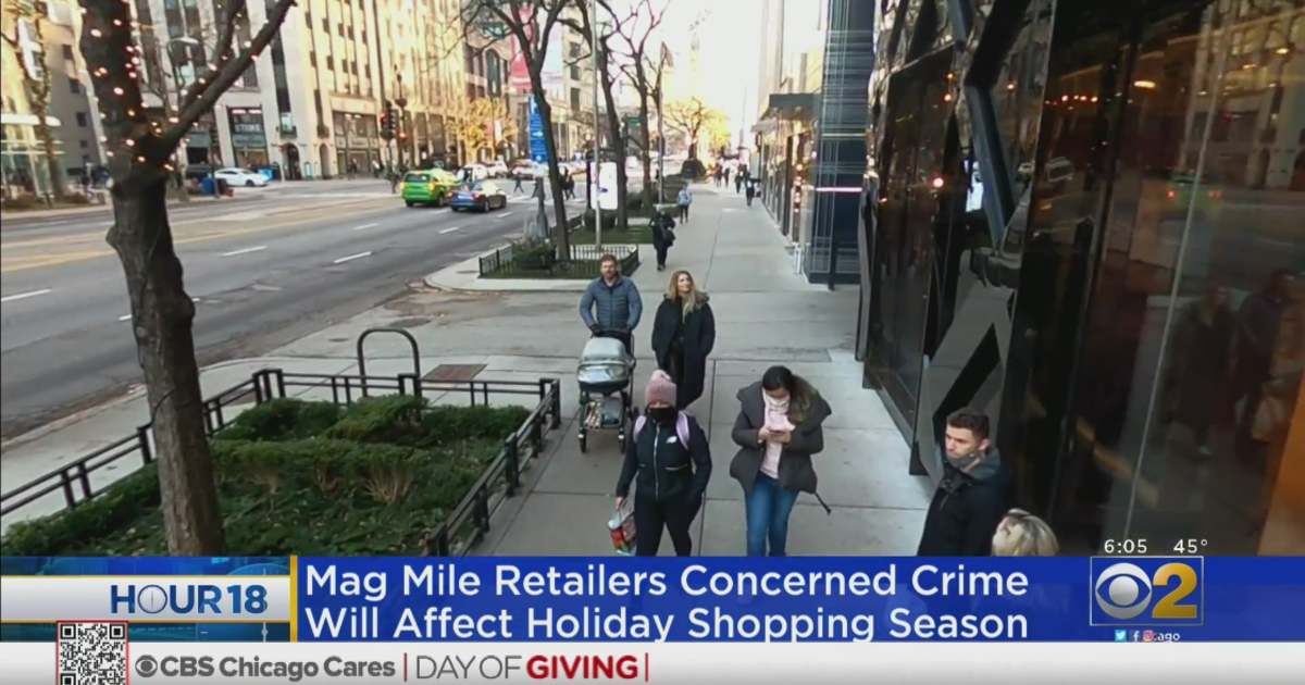 Retailers Worry That Repeated Organized Thefts Could Scare Shoppers Away  From Mag Mile, Other Districts This Holiday Season - CBS Chicago