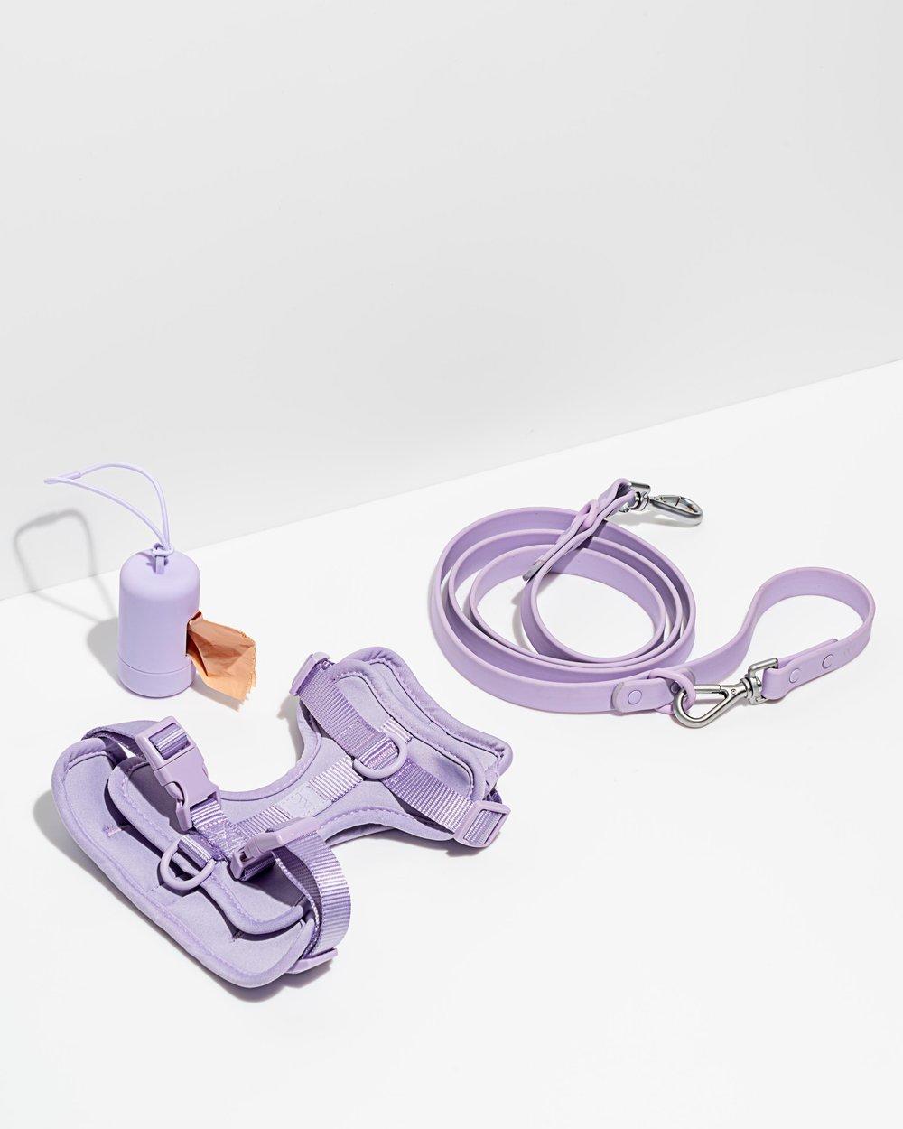 Wild One harness walk kit 