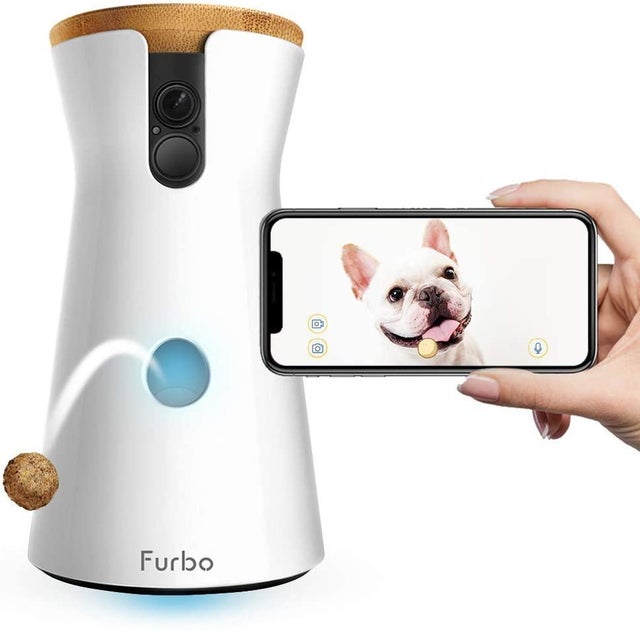 Furbo dog camera 