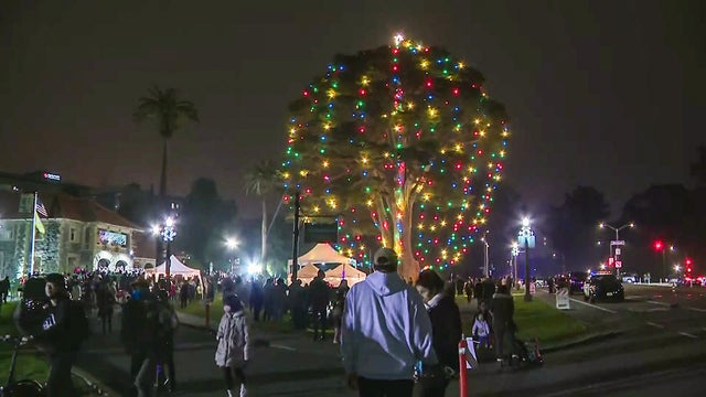 sf-ggpark-xmastree.jpg 