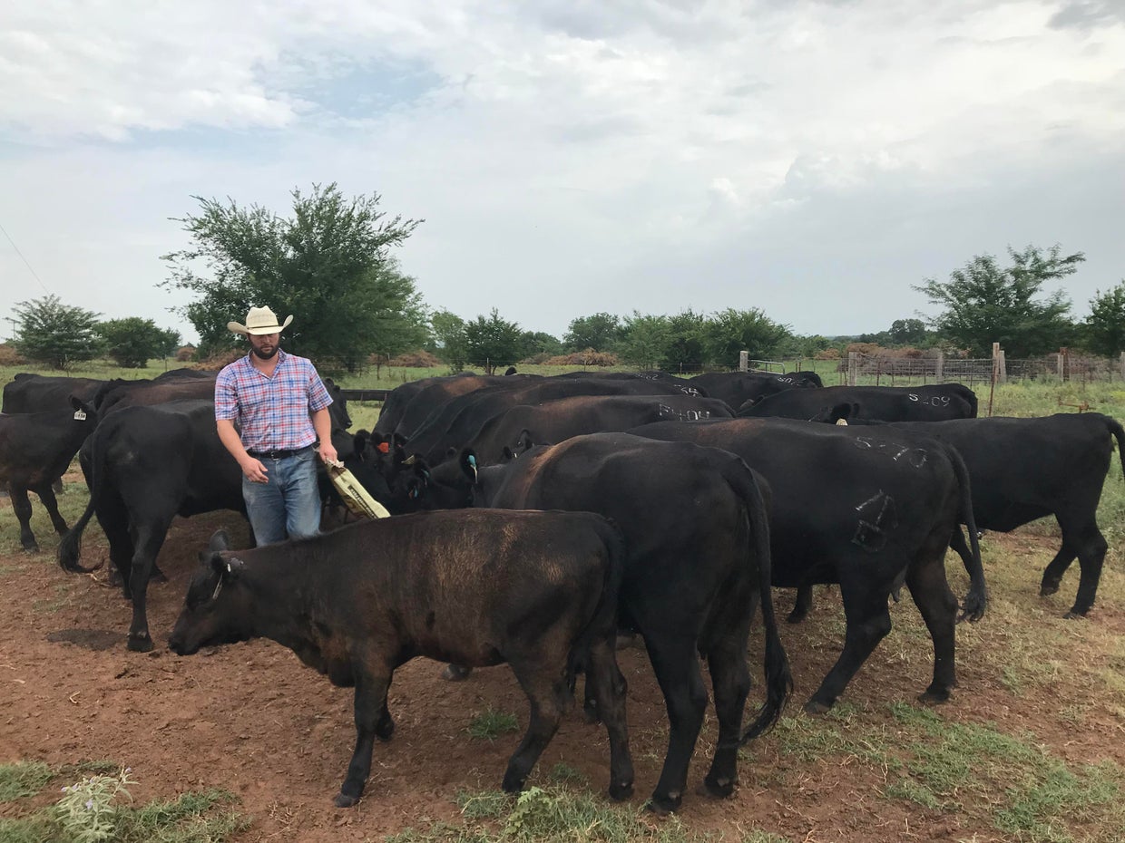 Coming to a grocery store near you: Low-carbon beef - CBS News