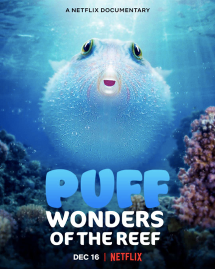 Puff: Wonders of the Reef 