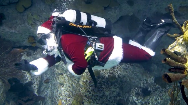 Santa-National-Aquarium.jpg 