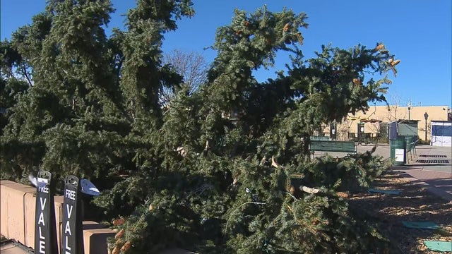 Sallinger Denver West Wind - Blumer raw_frame_20764 