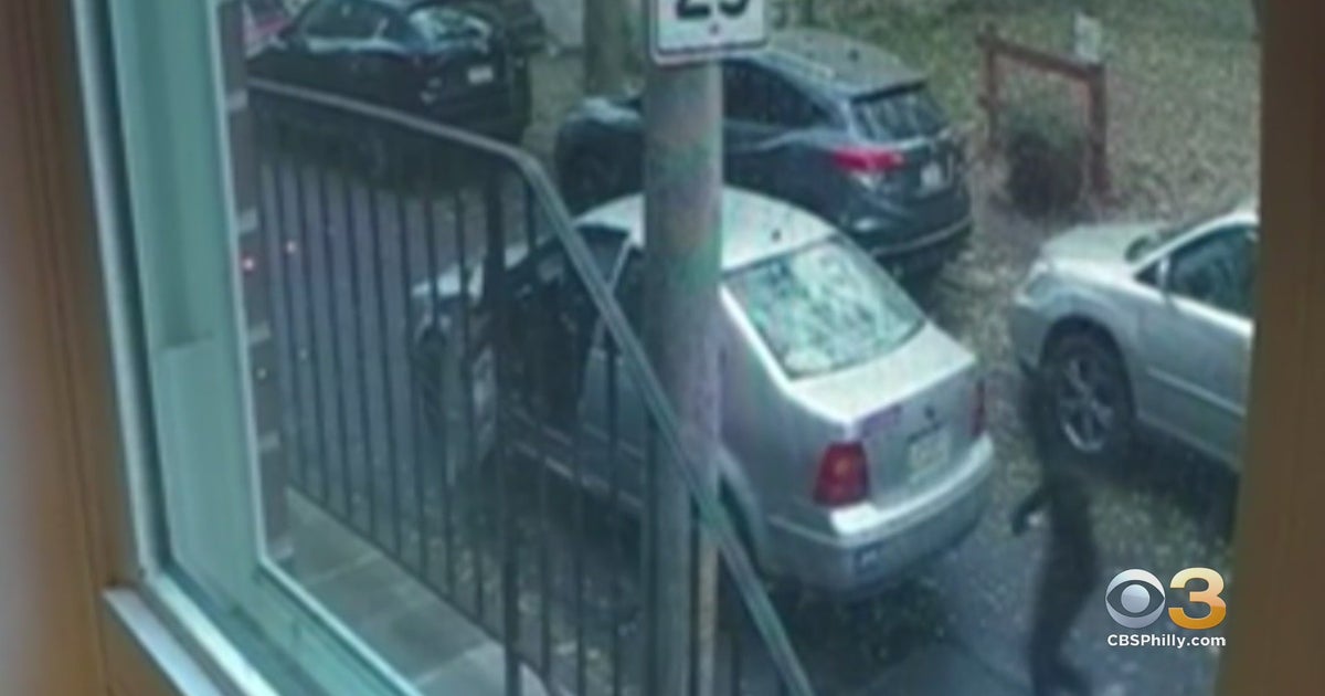 CAUGHT ON CAMERA Neighbors Step In To Stop Attempted Carjacking In