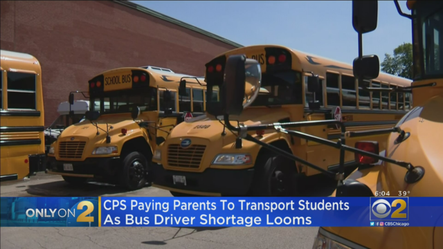 SchoolBuses2.png 