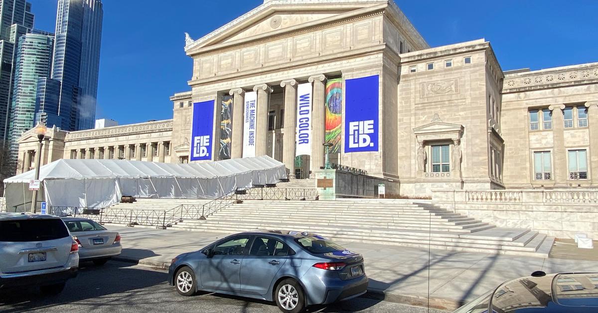 Field Museum Free Days 2024 Debra Guglielma