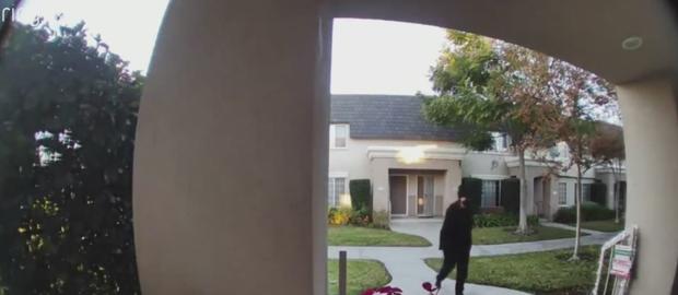 Porch Pirate Caught On Camera Stealing Packages In Reseda 