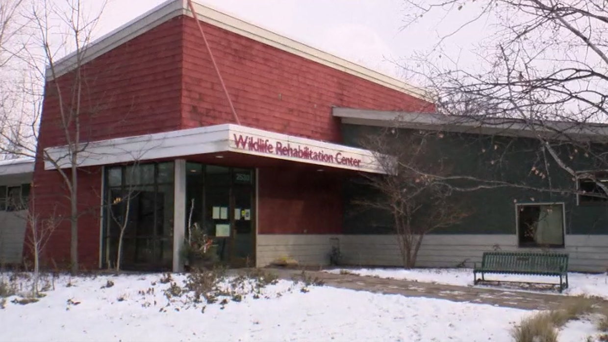 Record Number Of Animals Brought To Wildlife Rehabilitation Centers
