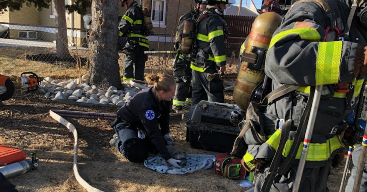 Denver Firefighters Rescue Dog From Burning Home CBS Colorado