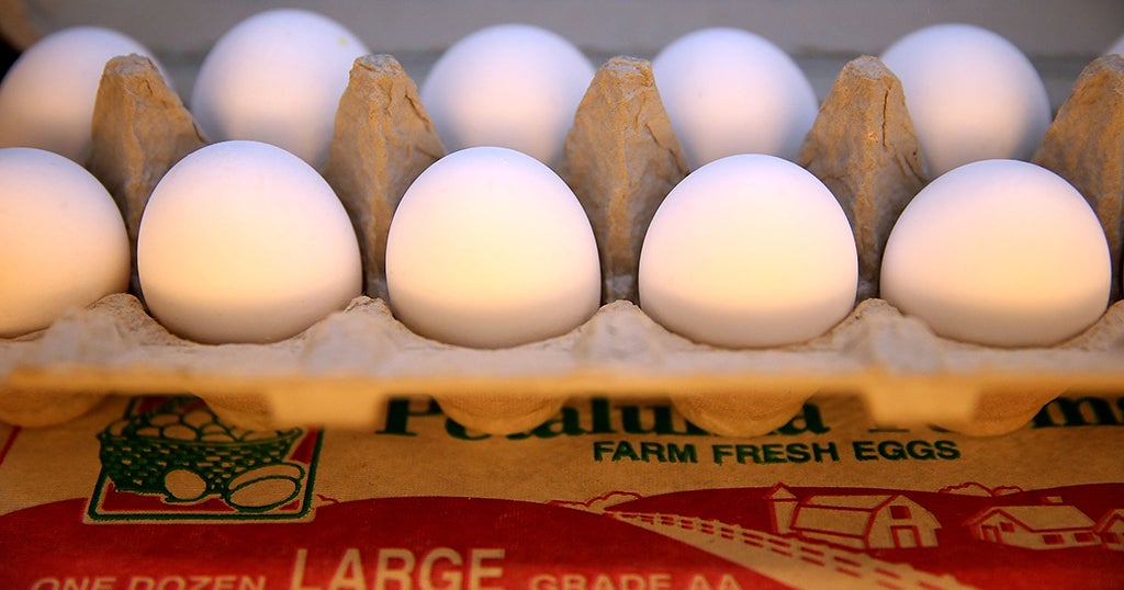 New Law Averts Possible 2022 Egg Shortage In Massachusetts CBS Boston