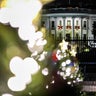 White House Christmas Tree 