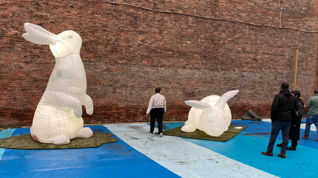 intrude-baby-rabbits-1