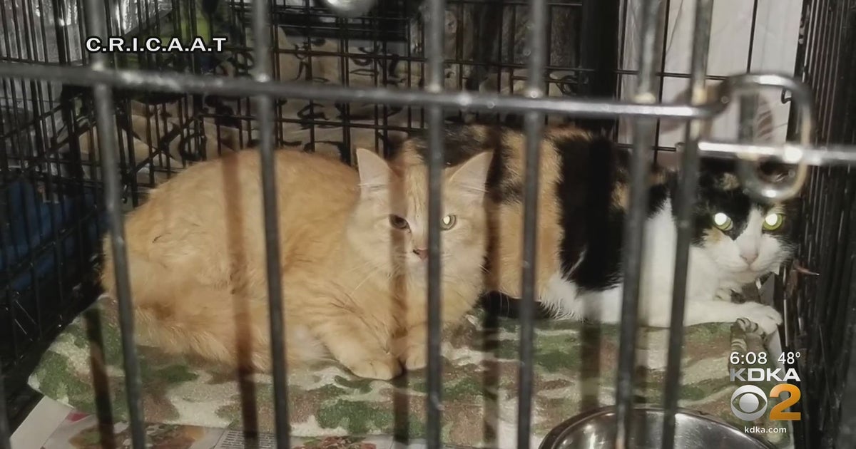 Washington County Man Charged With 77 Counts Of Animal Cruelty And