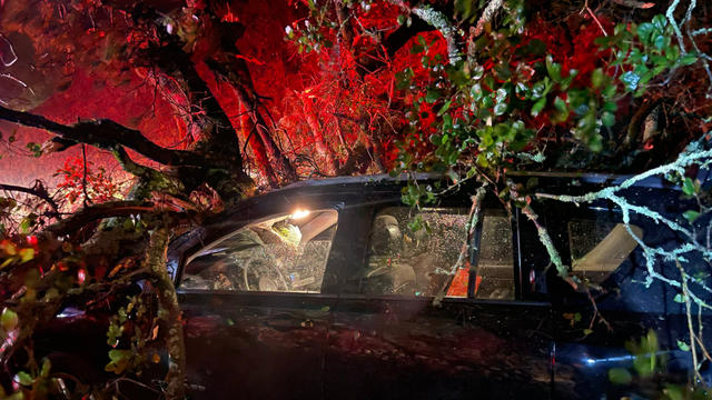 Oakland-tree-fall-onto-car.jpg 