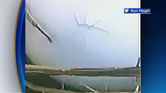 Eagle Eggs Start to Hatch pics 