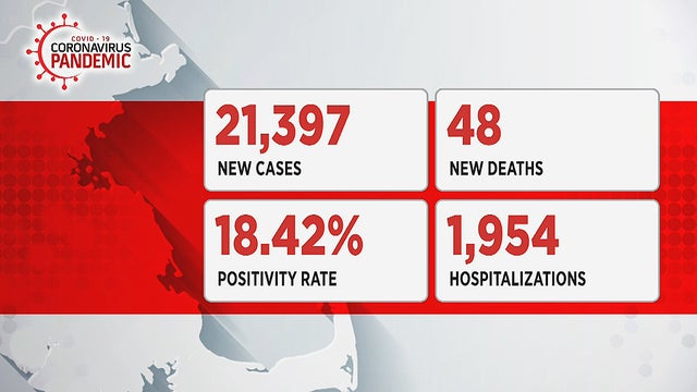 cases-3.jpg 