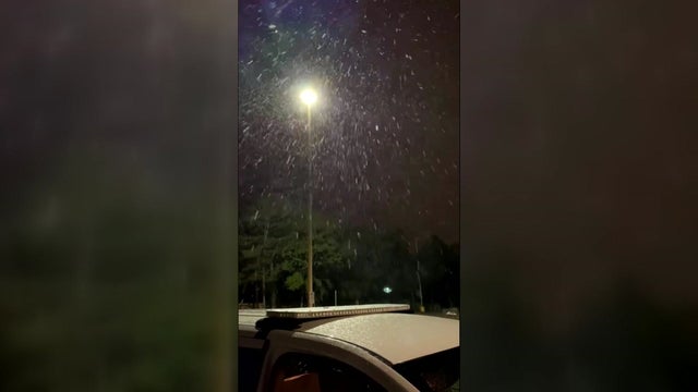 Snow-In-Panhandle.jpg