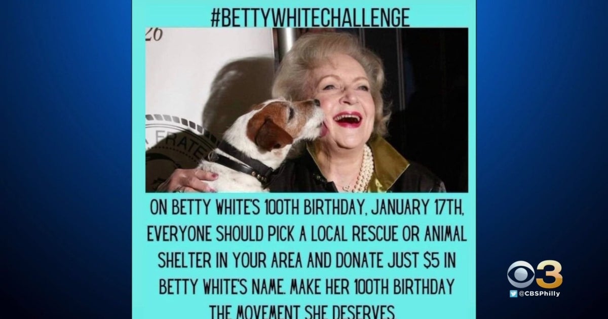 Philadelphia Animal Shelters, At Or Near Capacity, Hope Betty White Challenge Leads To Forever