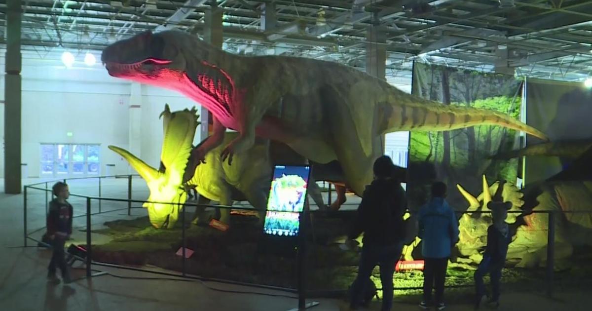 Dinosaurs roam Downtown Pittsburgh with Jurassic Quest CBS Pittsburgh