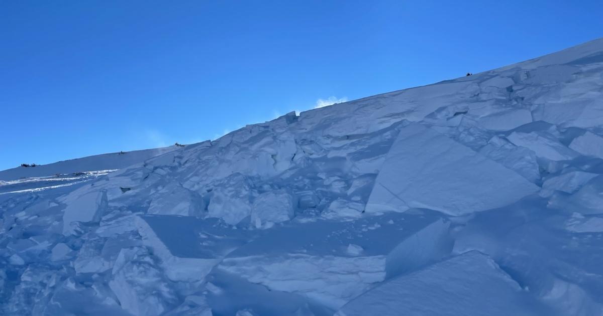 2 snowshoers, dog killed in Colorado avalanche identified - ABC News