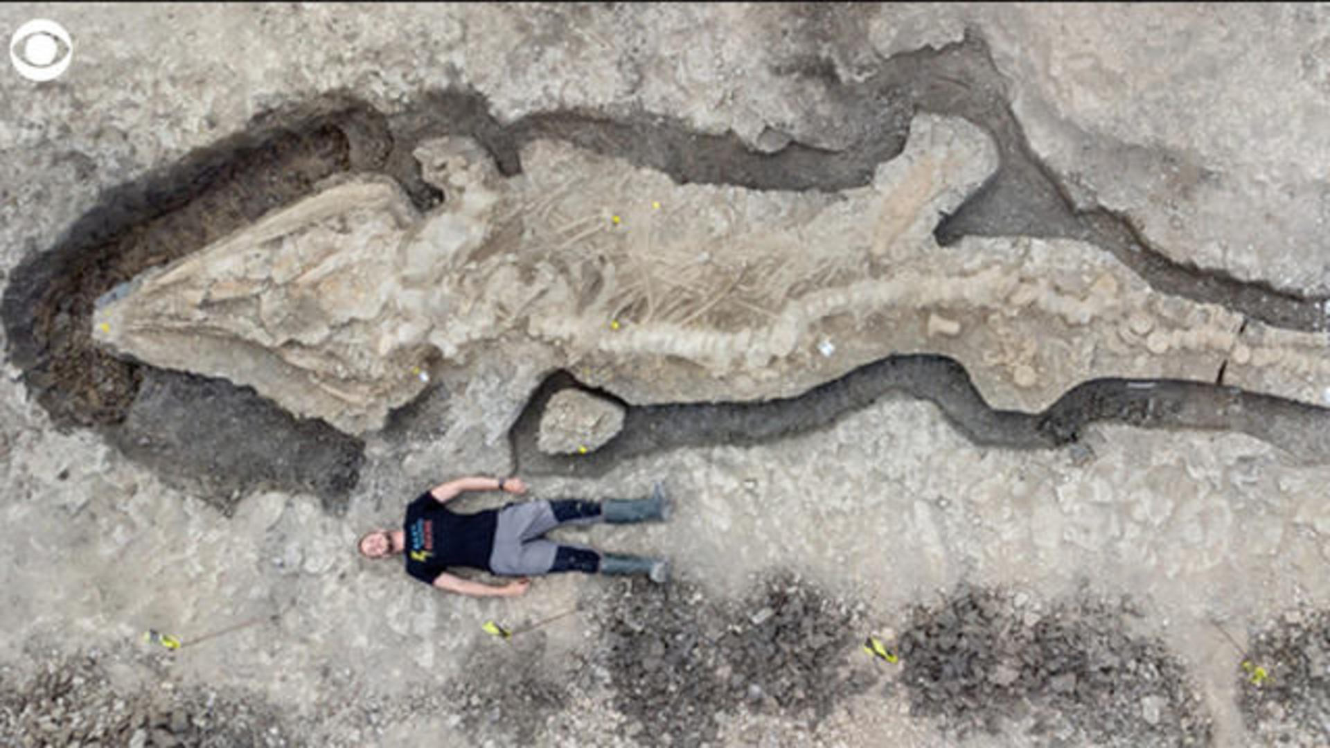 180-million-year-old giant 