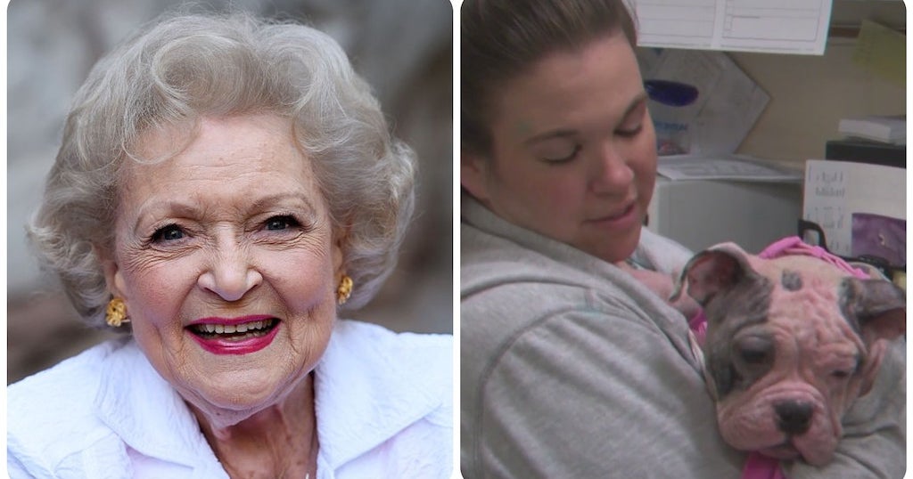 Betty White Challenge Leads To Big Donations For Animal Shelters Across