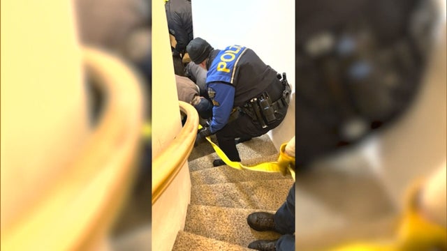 MOOSE IN BASEMENT 6PKG.transfer_frame_1617 