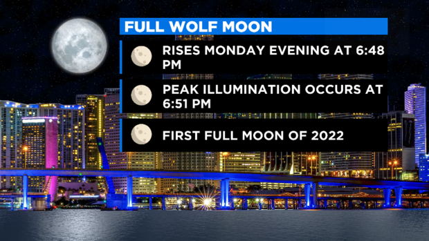 Full Wolf Moon 