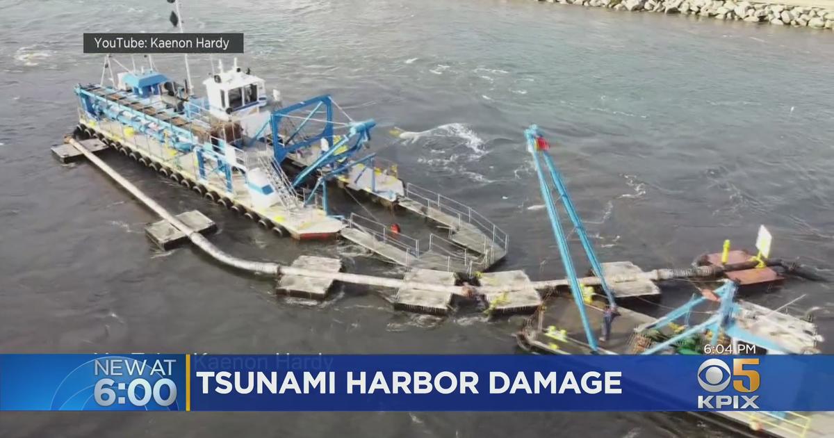 Boaters Assess Damage After Tsunami Strikes Santa Cruz Harbor CBS San