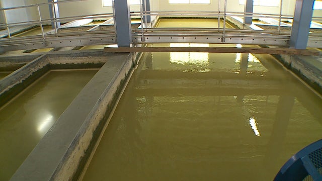 6P-Pkg-COVID-Wastewater_WCCO0ULB.jpg 