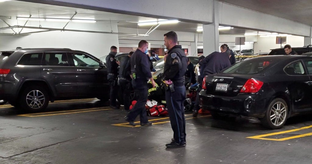 UPDATE San Mateo Police Arrest 4 Teens for Hillsdale Mall Parking Lot
