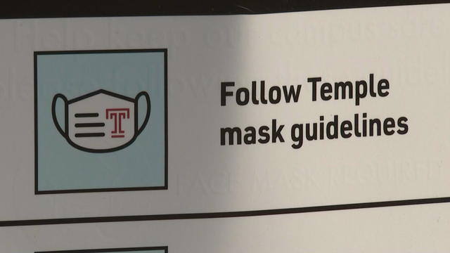 temple-mask-guidelines.jpg 