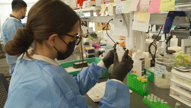 ENDEMIC FUTURE PKG.transfer_frame_313 