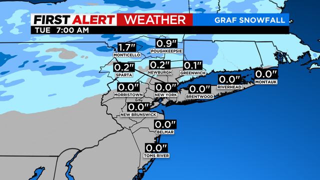 SkyCast FutureCast Snowfall GRAF