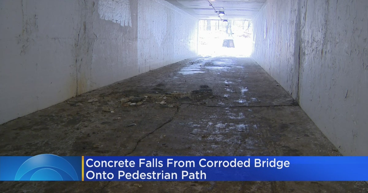 Concrete Falls From Corroded Bridge Onto Pedestrian Path Near Lakeshore ...
