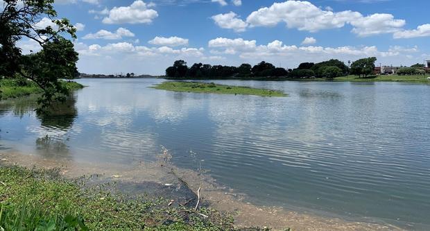 Bachman Lake sediment 2 