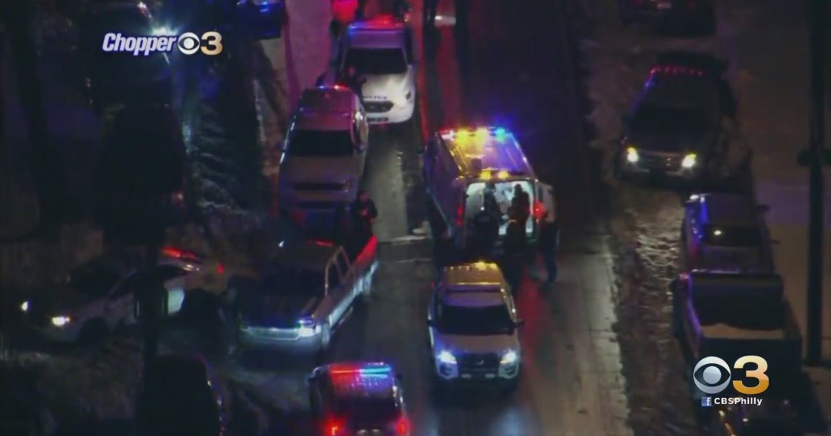 Carjacking Suspect Arrested After Leading Philadelphia Police On Wild ...