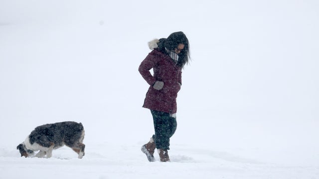 A woman walks her dog in the snow February 2, 2022, in Chicago, Illinois. 