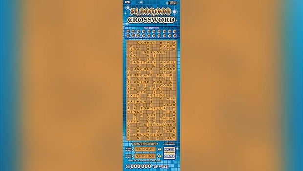 winning lottery ticket 