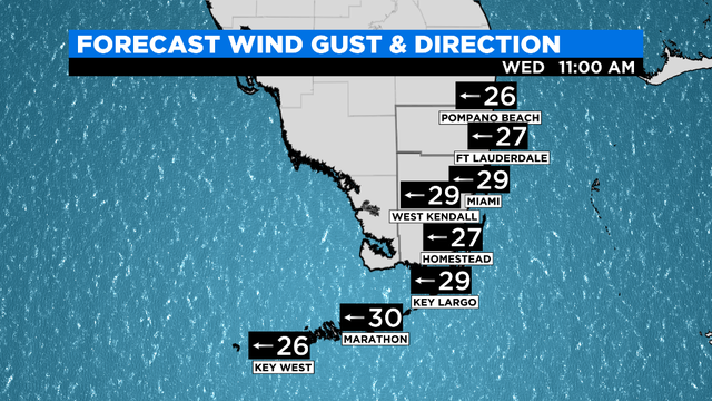SFL-KEYS-Model-Wind-Gust-and-Direction.png 