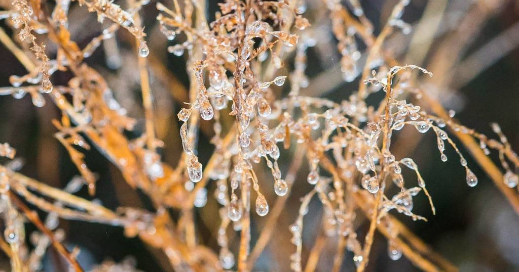 Weather service issues freeze warning for parts of Bay Area, Salinas ...